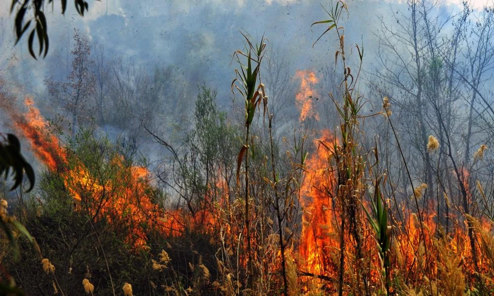 Ενισχύθηκαν οι πυροσβεστικές δυνάμεις στη φωτιά στο Ξυλόκαστρο- Κινητοποιήθηκαν και δασοκομάντος